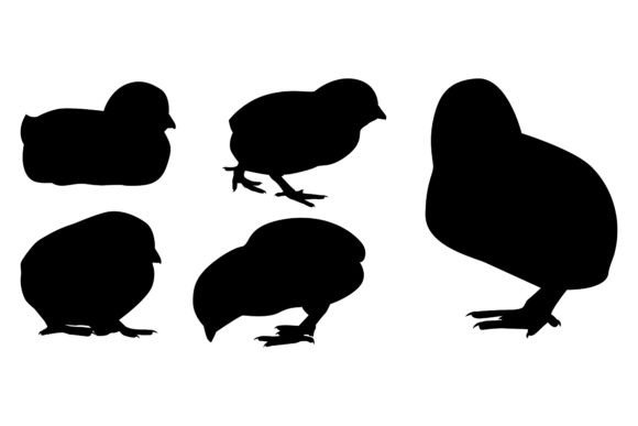 Adorable Farm Animal Newly Born Hen Silhouettes for Your Projects
