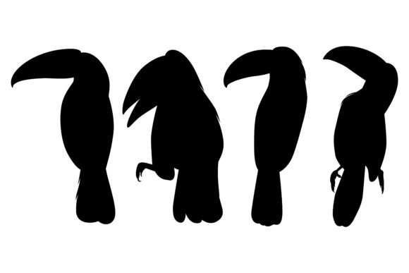 Animal Bird Toucan Silhouettes Vector: A Bold Choice for Your Next Design
