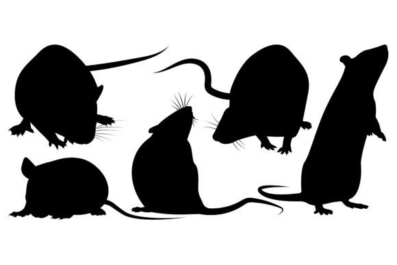 Animal Rat or Mouse Silhouettes Vector: Creative Assets