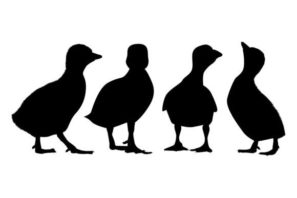 Farm Animal Newly Born Duck Silhouettes: Whimsical Design Assets