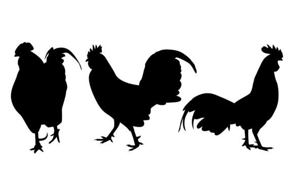 Farm Animal Rooster Silhouette Vector: Bold Design Asset