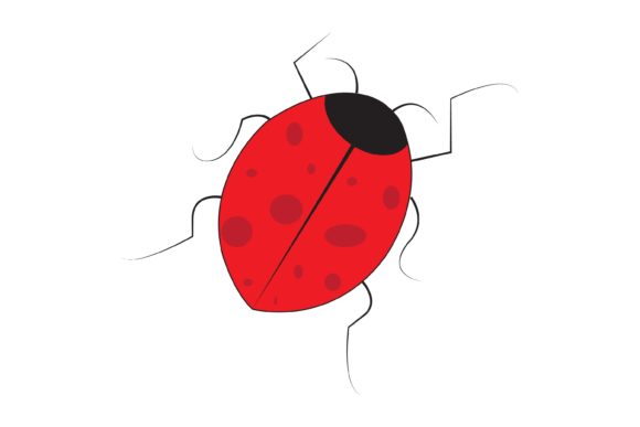 The Visual Power of Beetle Animal Illustration